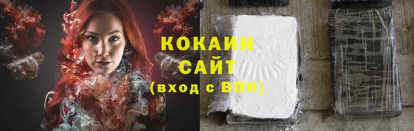 ECSTASY Кукмор