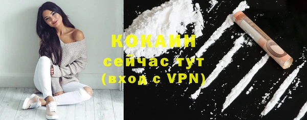 бошки Кулебаки