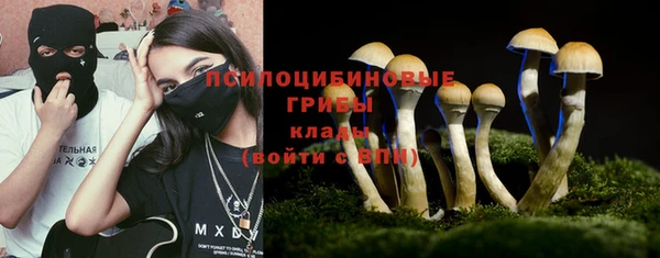 ECSTASY Кукмор