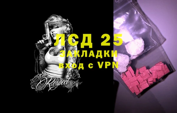 ECSTASY Кукмор