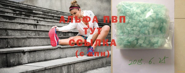 ECSTASY Кукмор