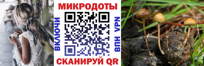 Купить  Волжск  Псилоцибиновые грибы GOLDEN TEACHER 